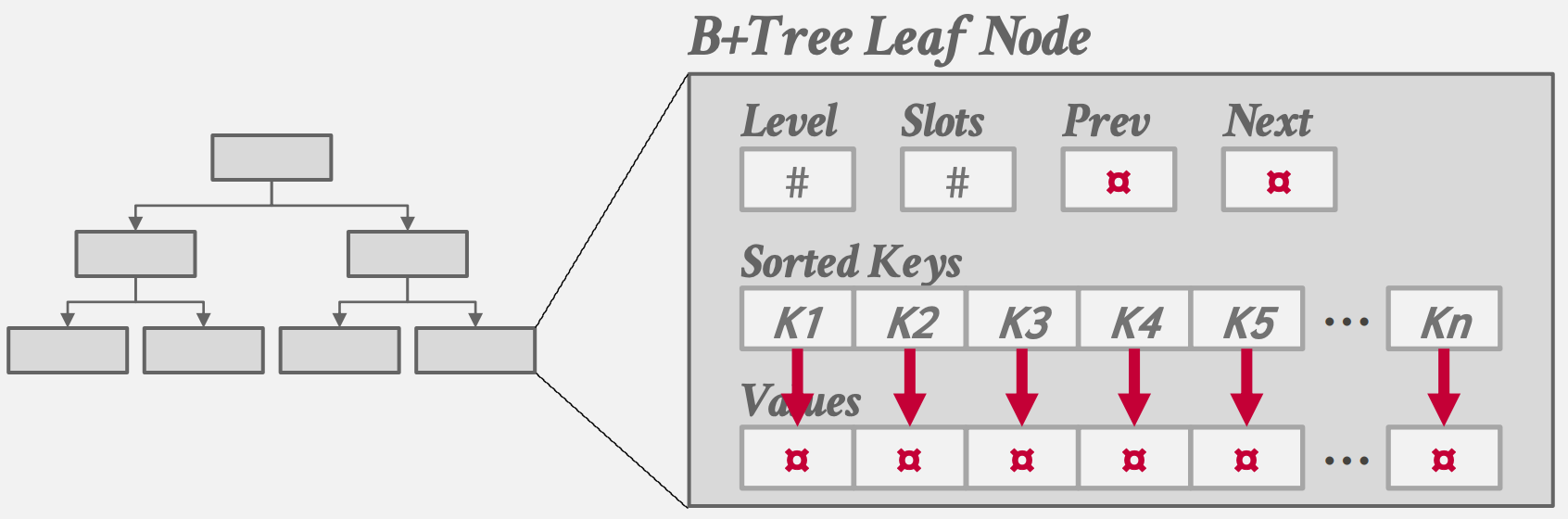 B+ Tree